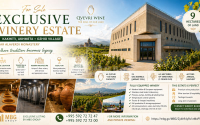 იყიდება შატო / ღვინის ქარხანა / მარანი კომერციული ფართი ოჟიოში, ახმეტა