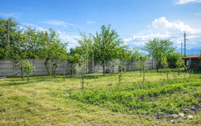 Business for sale Commercial Telavi Kakheti