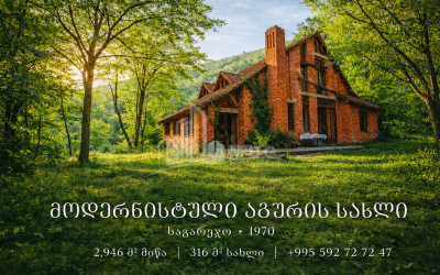 იყიდება ძველი აშენებული სახლი - აგარაკი საგარეჯოში