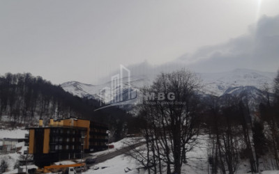 For Sale Flat, in Bakuriani