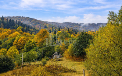 For Sale Land Zemo Gostibe Kaspi Shida Kartli