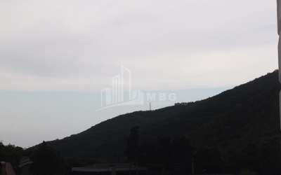 For Sale House - Villa, in Tskneti