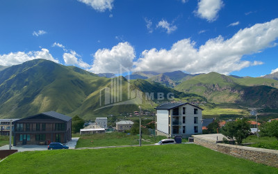 For Sale House Villa Stepantsminda Kazbegi Mtskheta   Mtianeti