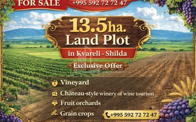 For Sale Commercial, Kakheti