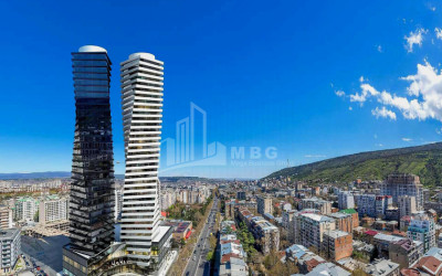 For Sale Flat I. Chavchavadze Avenue Vake Vake District Tbilisi