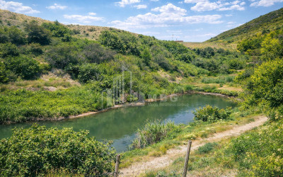Продается Озеро - Рыболовное хозяйство Земля В Деревния Гачиани, Гардабани