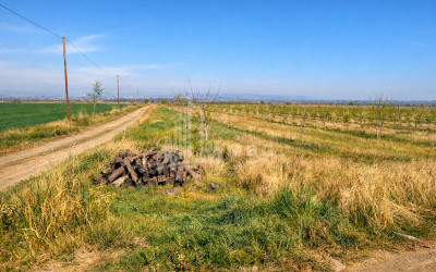 For Sale Land Village Shaumiani Marneuli Kvemo Kartli