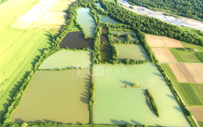 For Sale Land Kvemo Alvani Akhmeta Kakheti