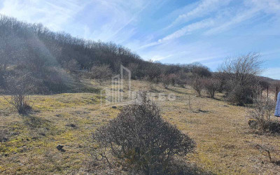 For Sale Country Land, in Tserovani