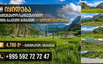 For Sale Commercial - universal Land , Kazbegi