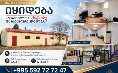 Продается Здание Коммерческий В Кумиси, Гардабани