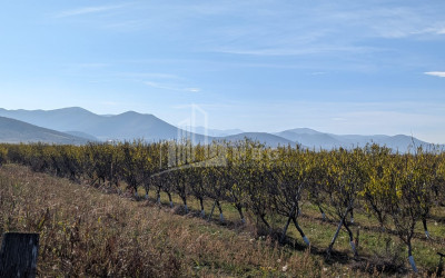 იყიდება მიწის ნაკვეთი სოფელი შაუმიანი მარნეული ქვემო ქართლი