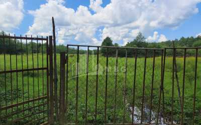 For Sale Land Chibati village Lanchkhuti Municipalities of Guria