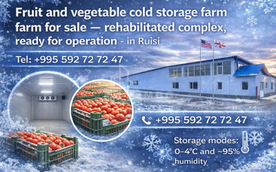 For Sale Refrigerator-freezer area Commercial In Ruisi, Kareli