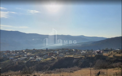 For Sale House   Villa, in Napetvrebi