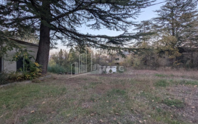 For Sale Commercial Akhmeta Kakheti