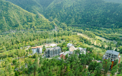 For Sale Commercial Likani Borjomi Samtskhe   Javakheti