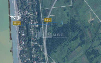 იყიდება სახნავ - სათესი მიწის ნაკვეთი დაბა შეკვეთილში, ოზურგეთი