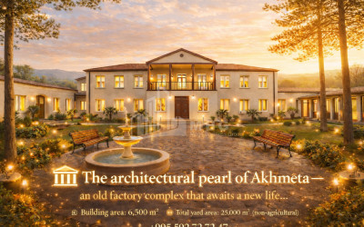 იყიდება შატო / ღვინის ქარხანა / მარანი კომერციული ფართი ახმეტაში