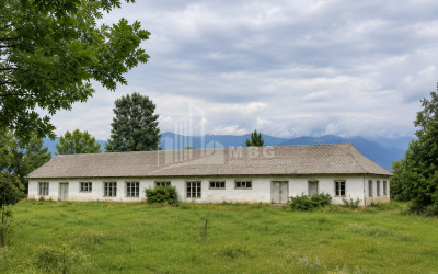 For Sale Chateau / Wine factory Commercial In Telavi