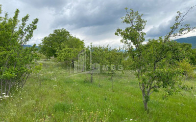 For Sale Country Land In Lamiskana, Kaspi