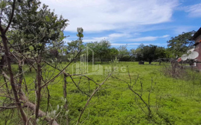 For Sale Land Grigoleti Lanchkhuti Municipalities of Guria