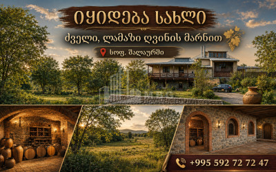 For Sale Old building House - Villa In Shalauri, Telavi