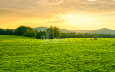 For Sale House   Villa, in Easter Easter