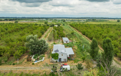 For Sale Land Kakheti