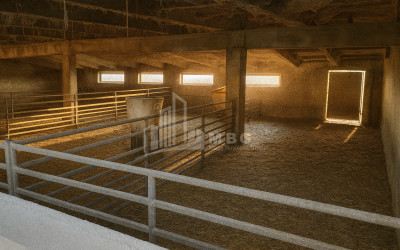 Продается Земля Зинобиани Кварели Кахети