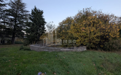 For Sale Commercial Akhmeta Kakheti