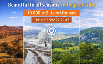 For-Sale-Land-Zemo-Gostibe-Kaspi-Shida-Kartli