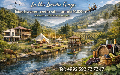 იყიდება ბიზნესი კომერციული ფართი თელავი კახეთი