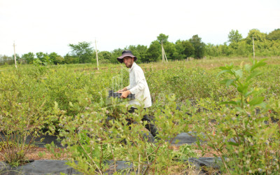For Sale Orchards Land In Senaki