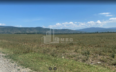 For Sale Country Land, in Tsilkani