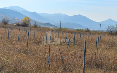 იყიდება მიწის ნაკვეთი სოფელი შაუმიანი მარნეული ქვემო ქართლი