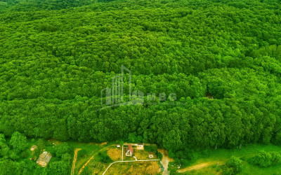 For Sale House Villa Tskhvarichamia Mtskheta Mtskheta   Mtianeti