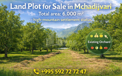 იყიდება მიწის ნაკვეთი აბასთუმანი ადიგენი სამცხე   ჯავახეთი