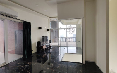 For Sale Flat I. Chavchavadze Avenue Vake Vake District Tbilisi