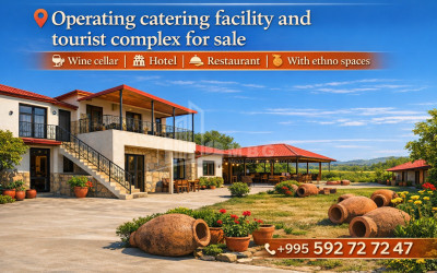 For Sale Food facility Commercial In Velistsikhe, Gurjaani