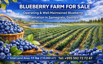 For-Sale-Land-Samegrelo