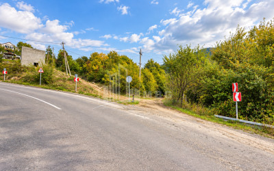 For Sale Country Land In Birtvisi Gorge, Tetritskaro