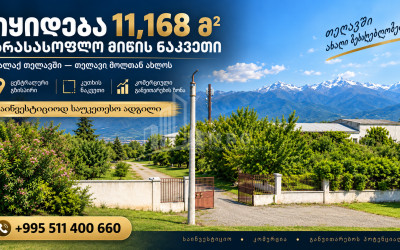 For Sale Commercial - universal Land In Telavi