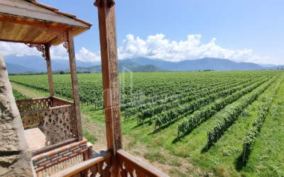 For Sale Commercial Kvareli City Kvareli Kakheti