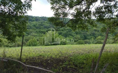 For Sale Land Davati Dusheti Mtskheta   Mtianeti