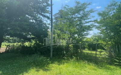 Продается Дачные Земля, в Сенакски