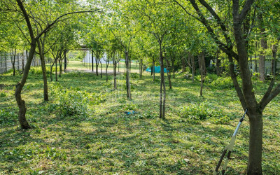 Business for sale Commercial Telavi Kakheti