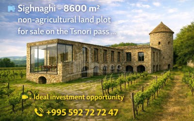 იყიდება მიწის ნაკვეთი სიღნაღი კახეთი