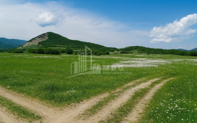 Продается Земля Гомбори Сагареджо Кахети