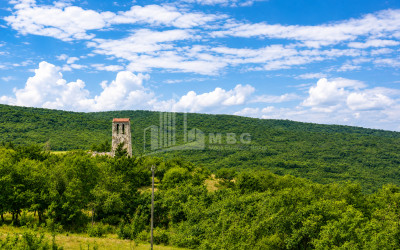 For Sale Country Land In Iltosa village, Dusheti
